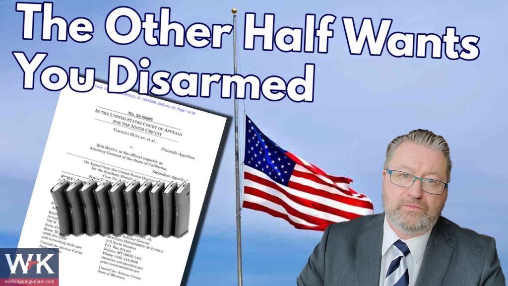 A man in a suit sits beside a U.S. flag at half-mast. Text reads "The Other Half Wants You Disarmed." A legal document and gavel illustration are next to him.