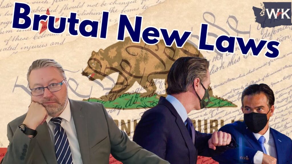 A man in a suit with glasses is seated thoughtfully in the foreground. Two other suited men stand in the background, one gesturing. "Brutal New Laws" is written above them on a backdrop featuring the California flag and script.